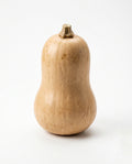 Butternut Squash (450-550g)