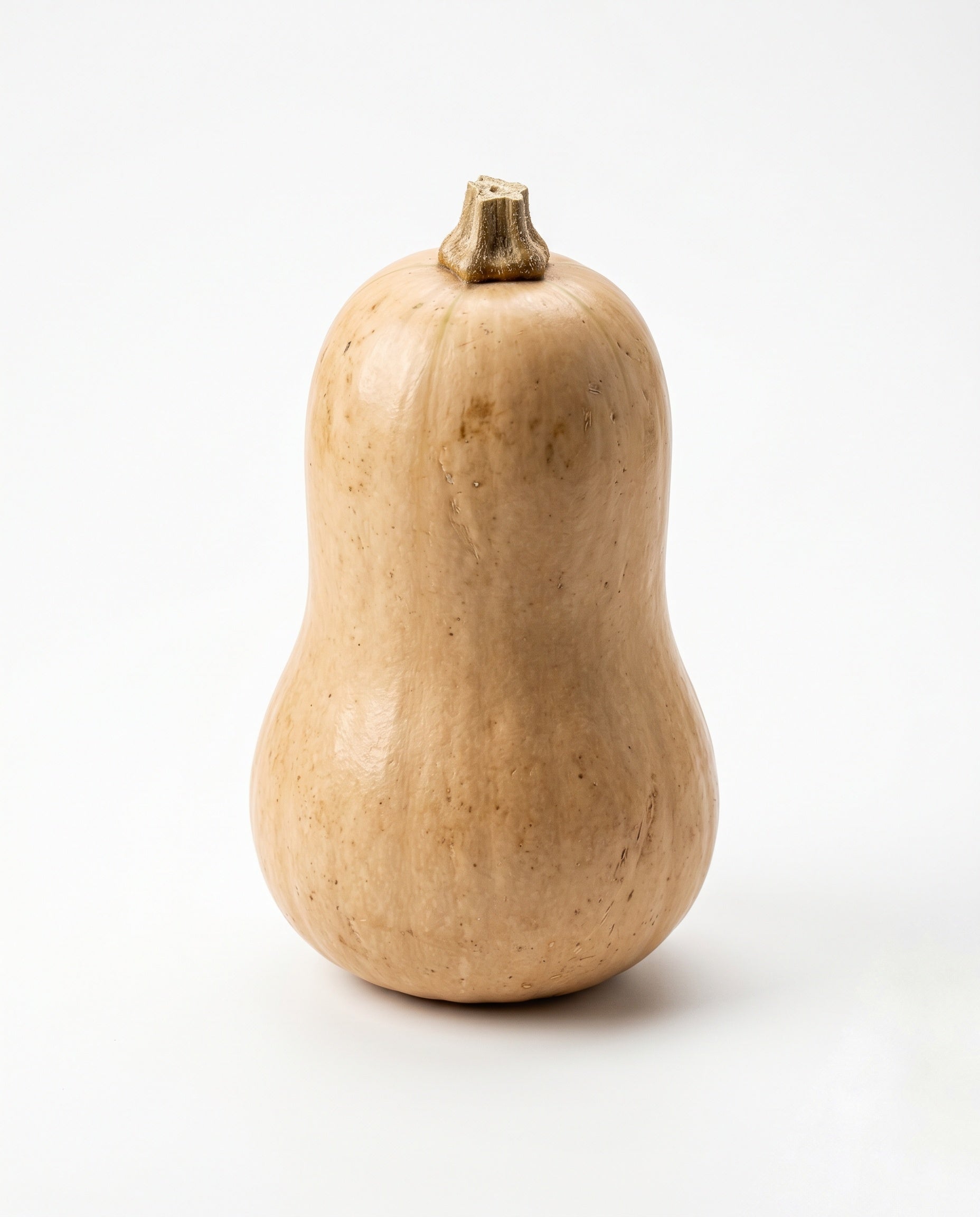 Butternut Squash (450-550g)