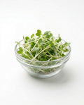 Radish Microgreens (1 box)