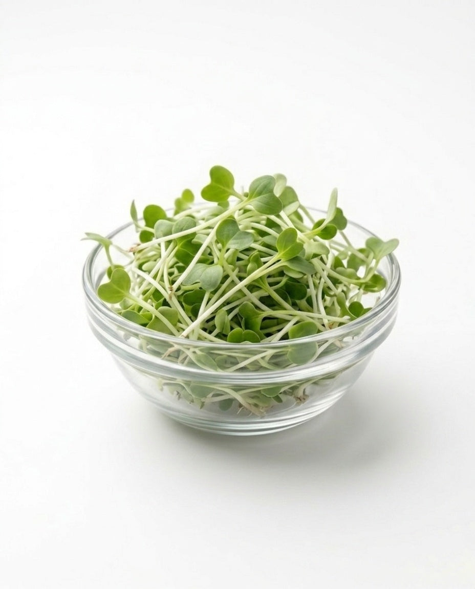 Radish Microgreens (1 box)