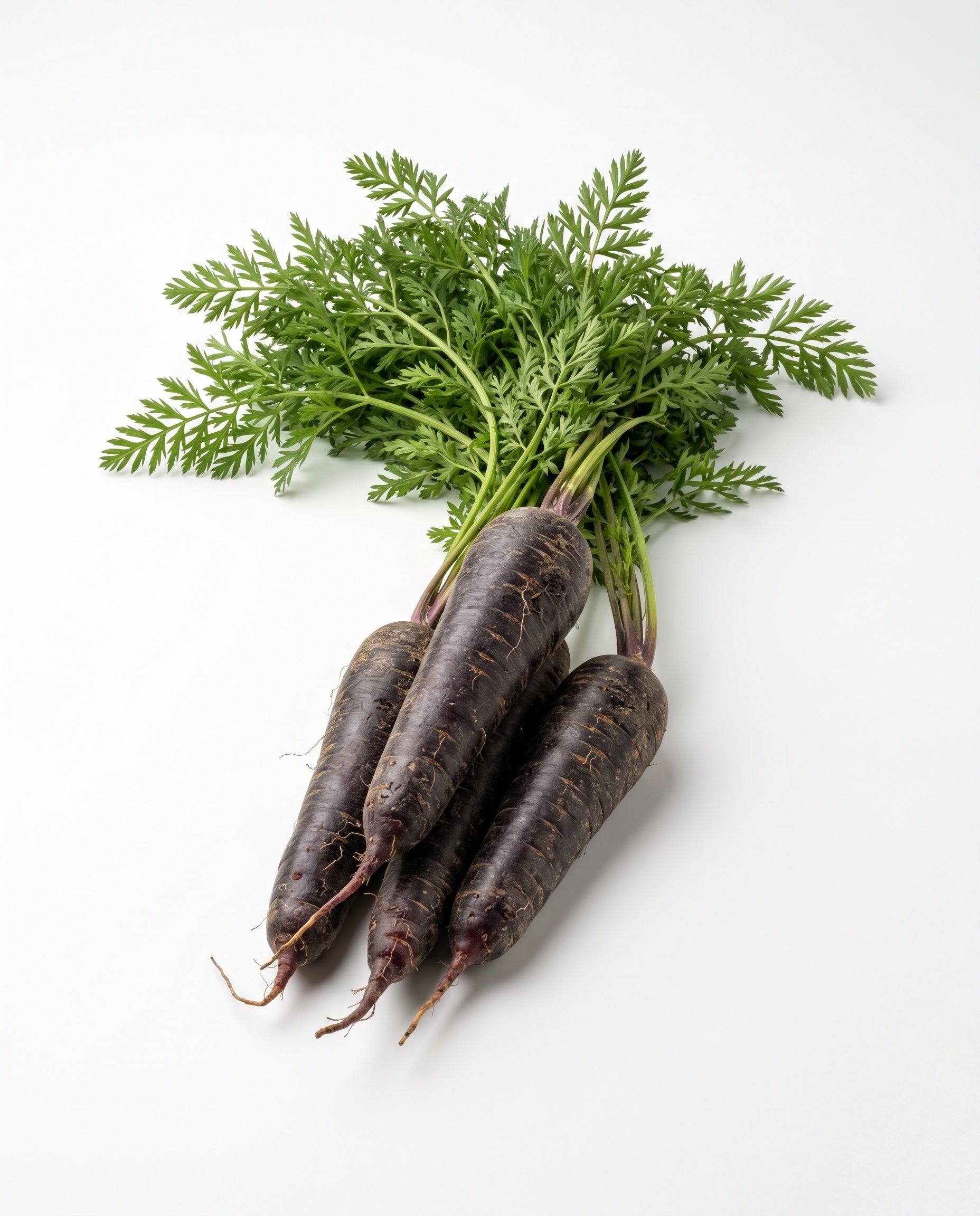 Purple Carrot (200g)