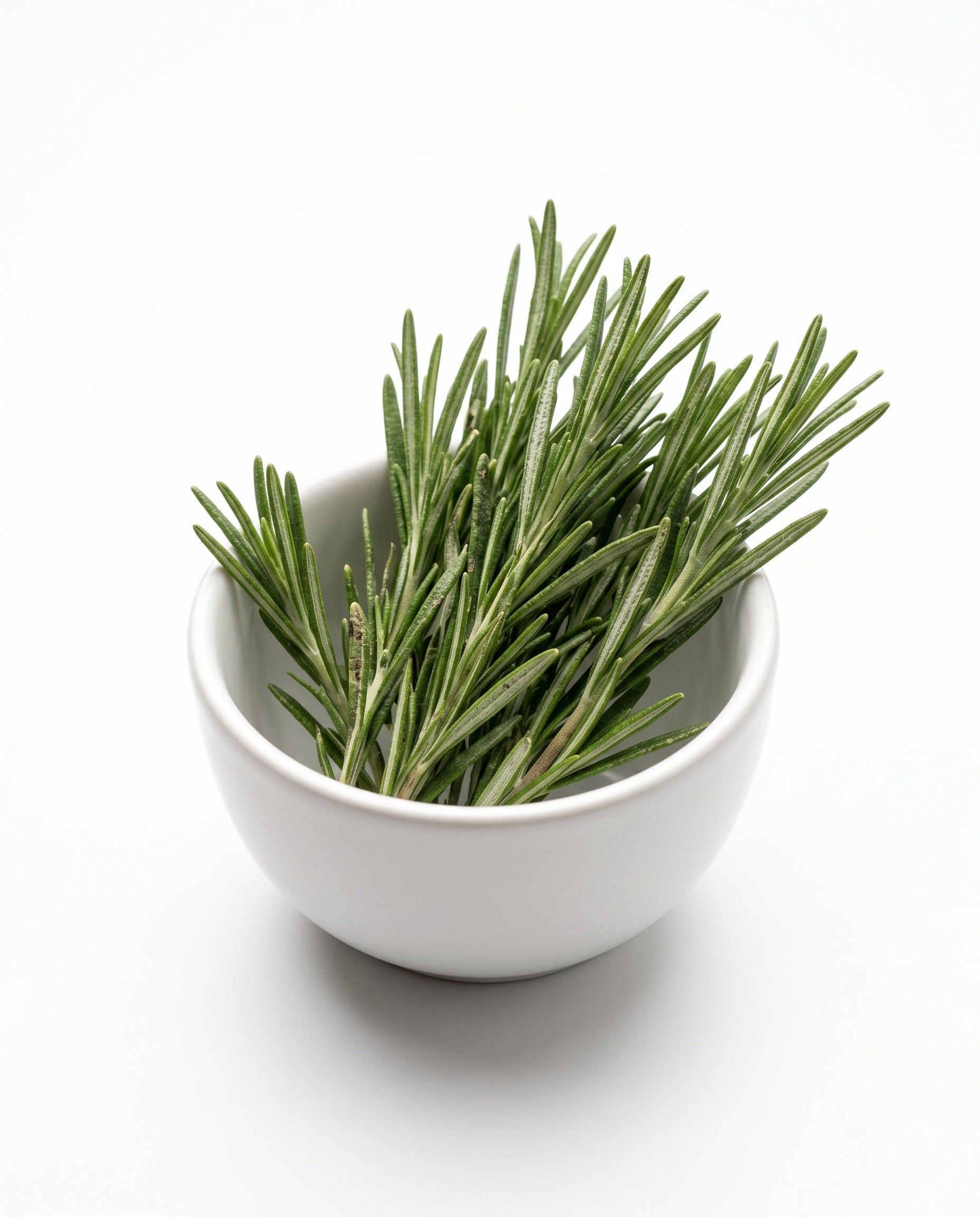 Rosemary (60g)