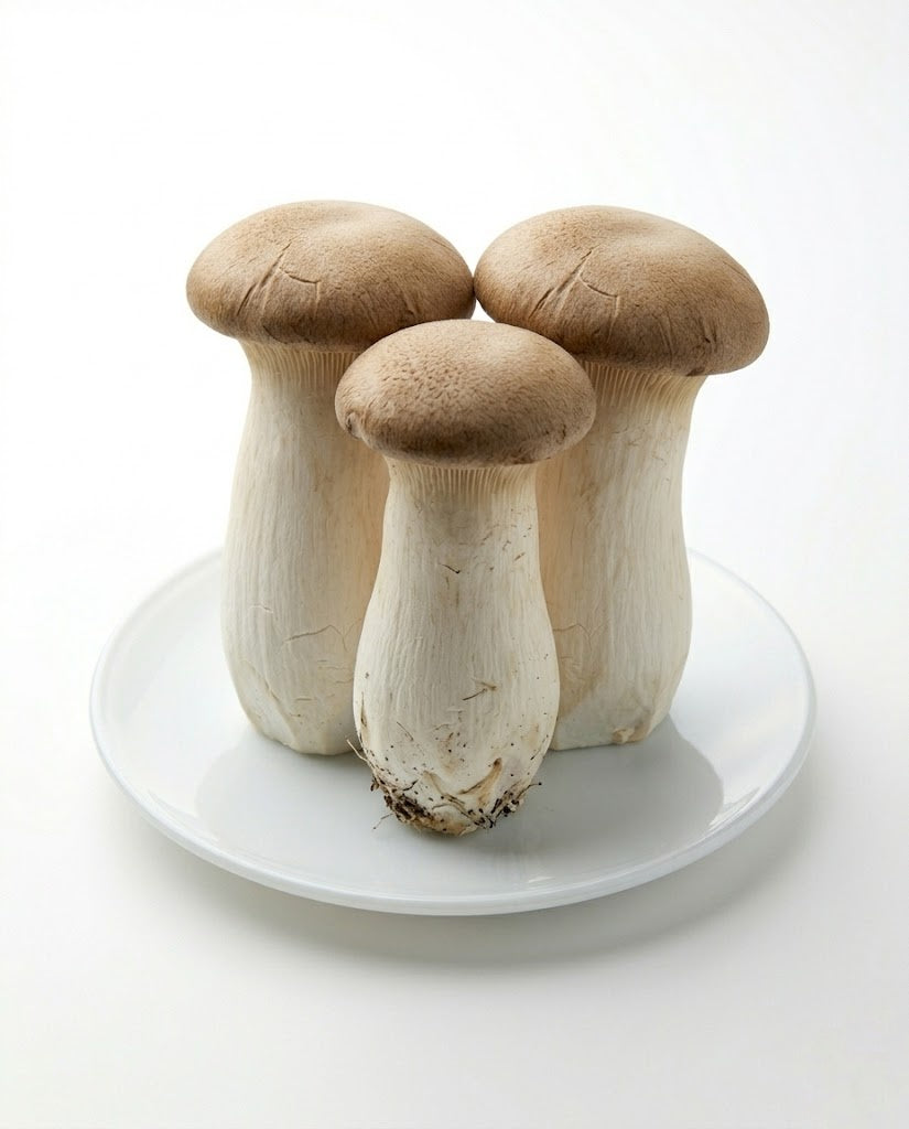 King Oyster Mushroom (1 pack)