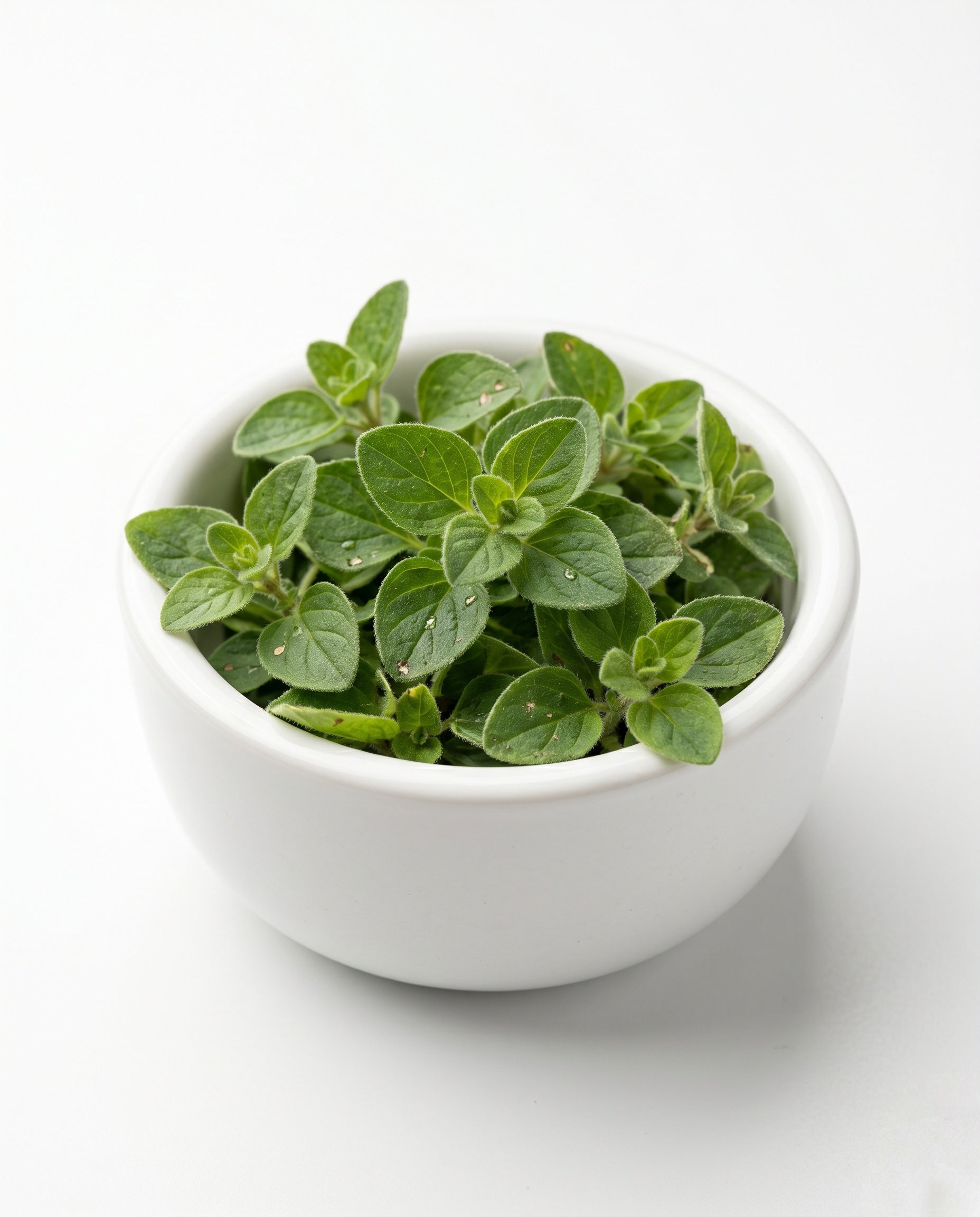 Oregano (60g)