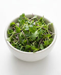 Mixed Microgreens (1 box)