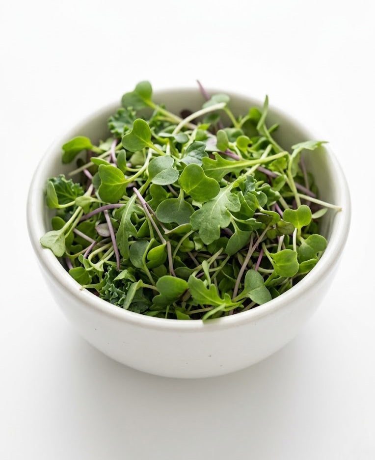 Mixed Microgreens (1 box)