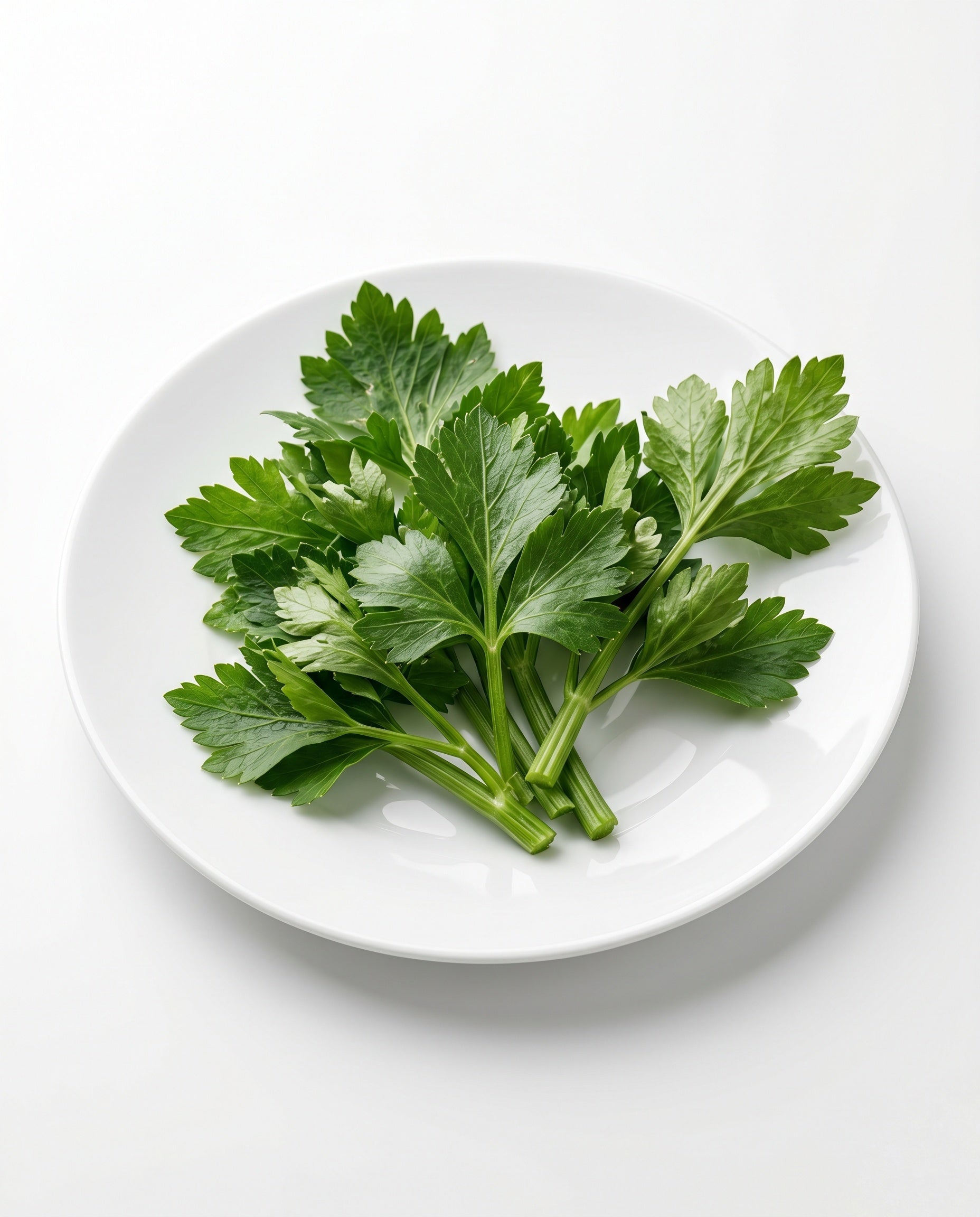 Celery (450-550g)