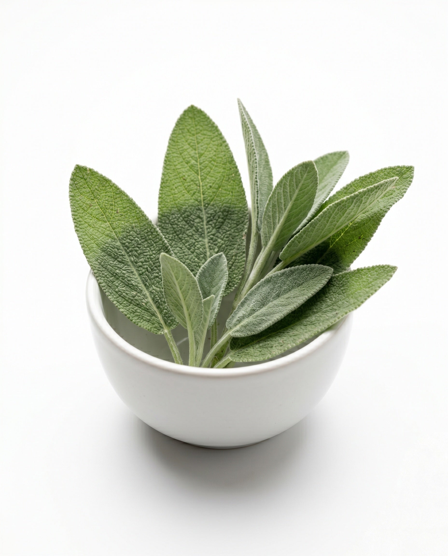 Sage (60g)