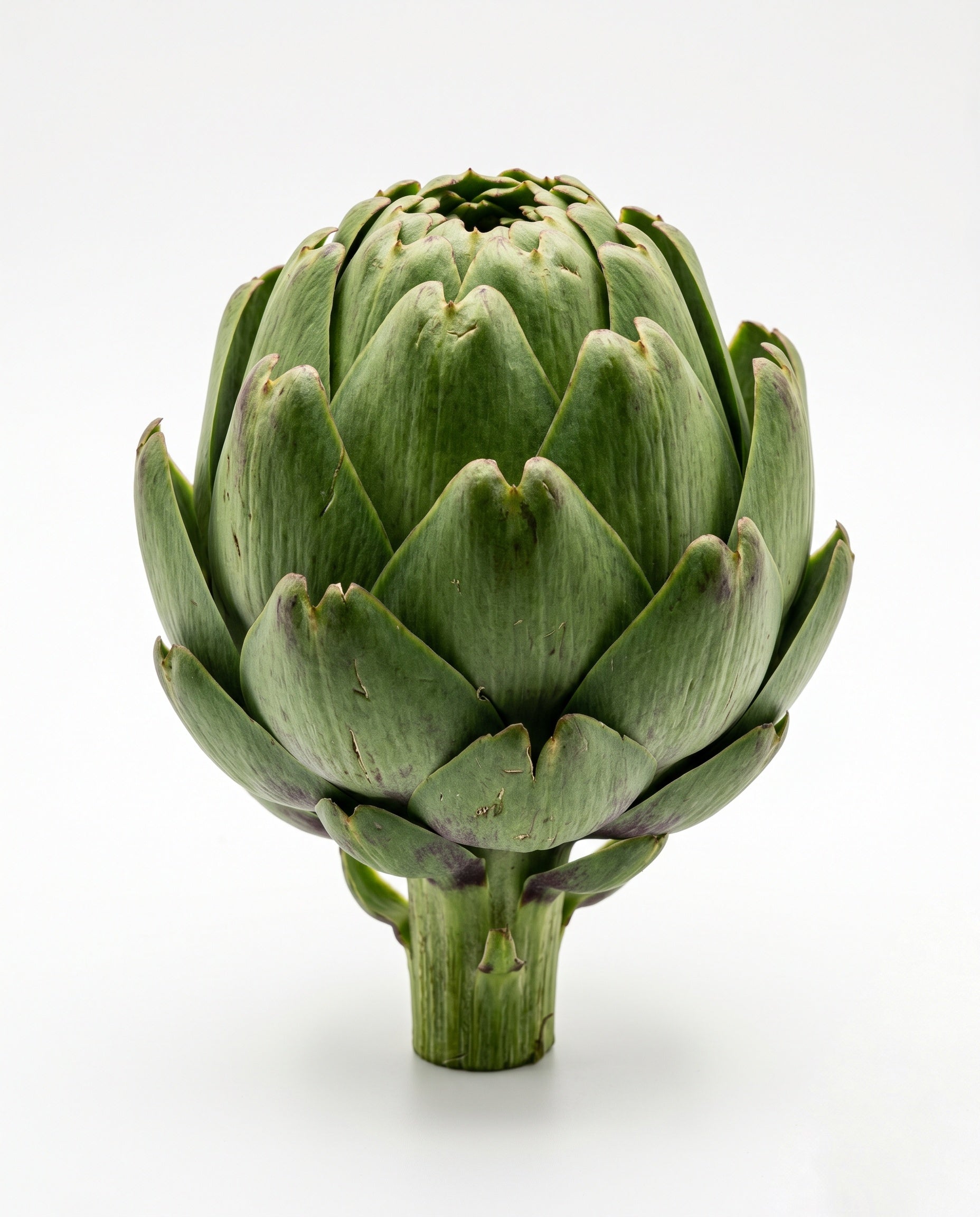 Artichoke (250-450g)