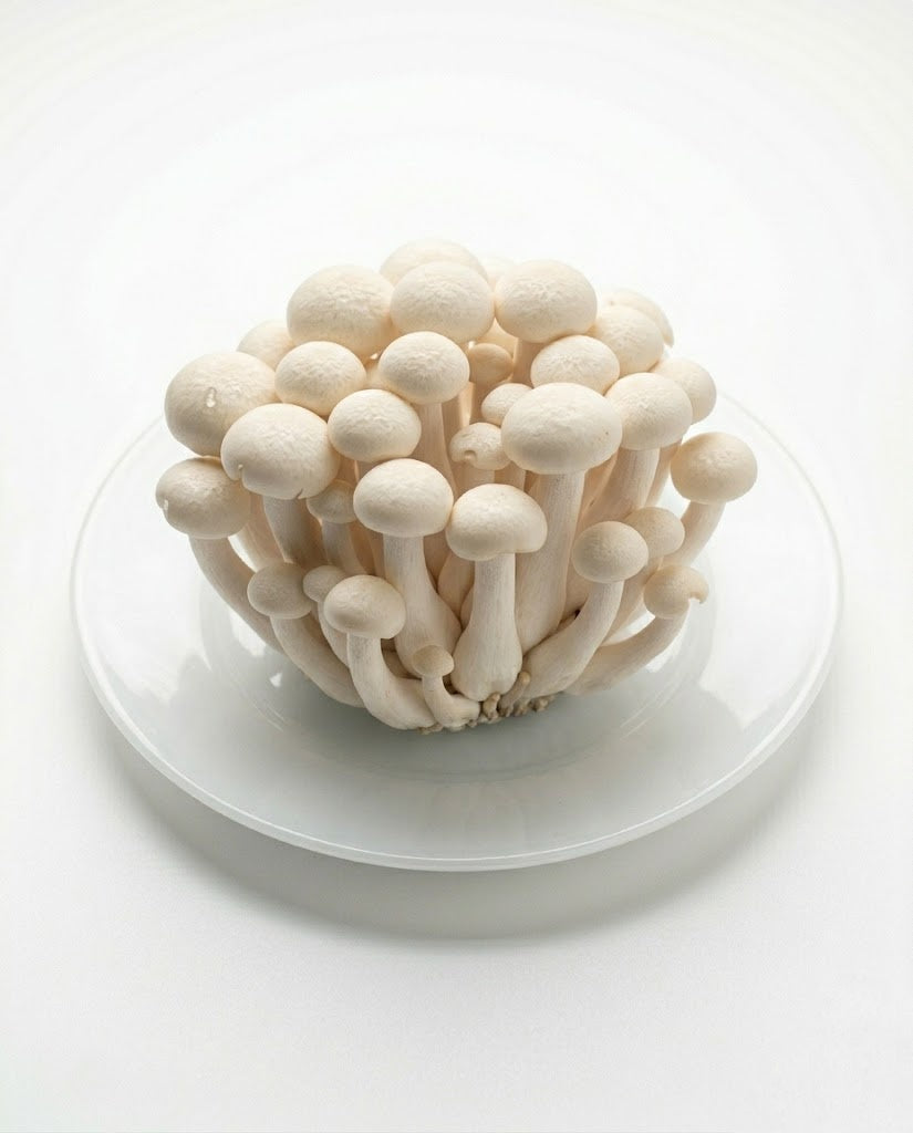 Shimeji Mushroom (1 pack)