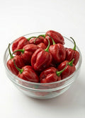 Habanero - Red (100g)