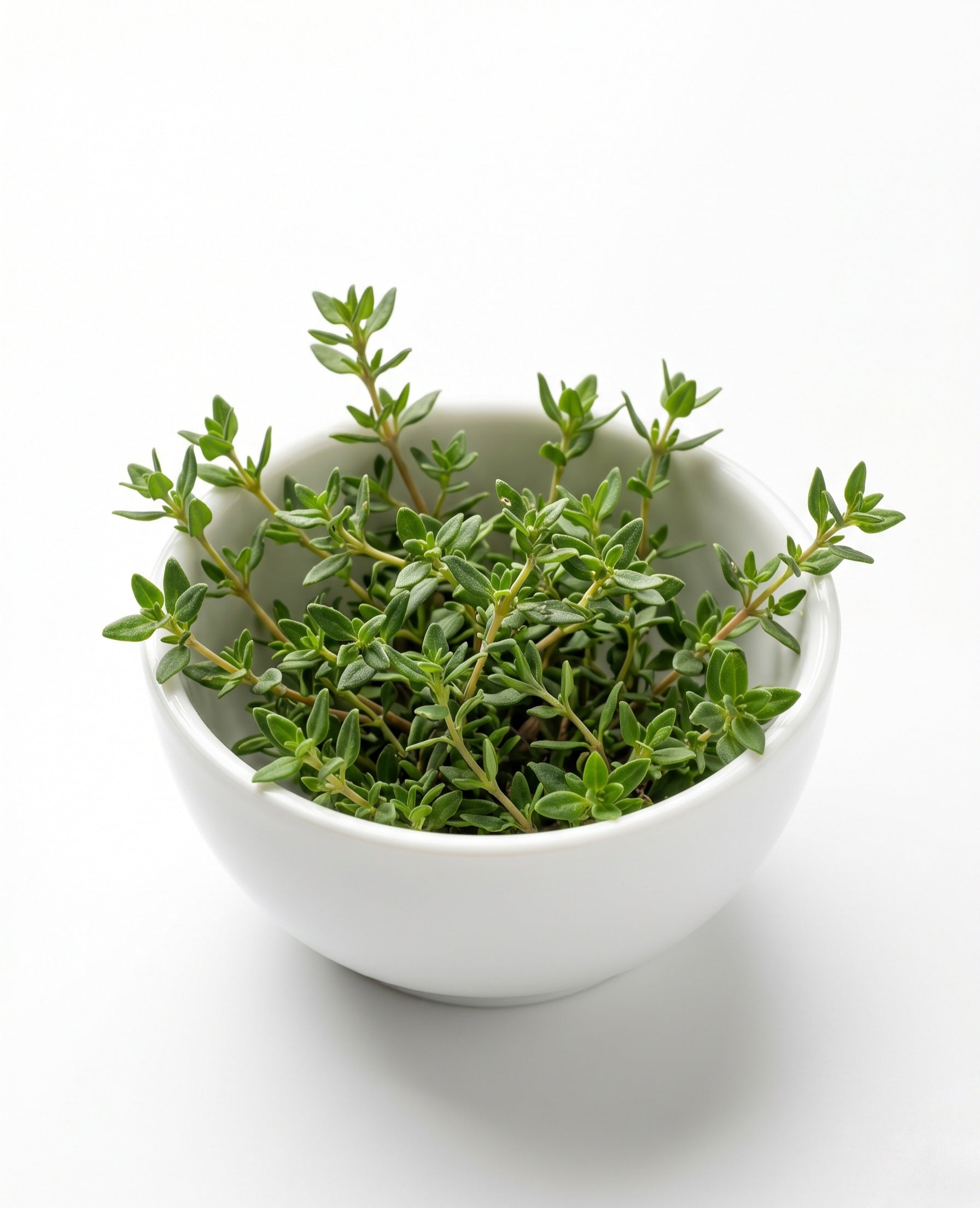 Thyme (60g)