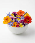 Mixed Edible Flowers (1 box)
