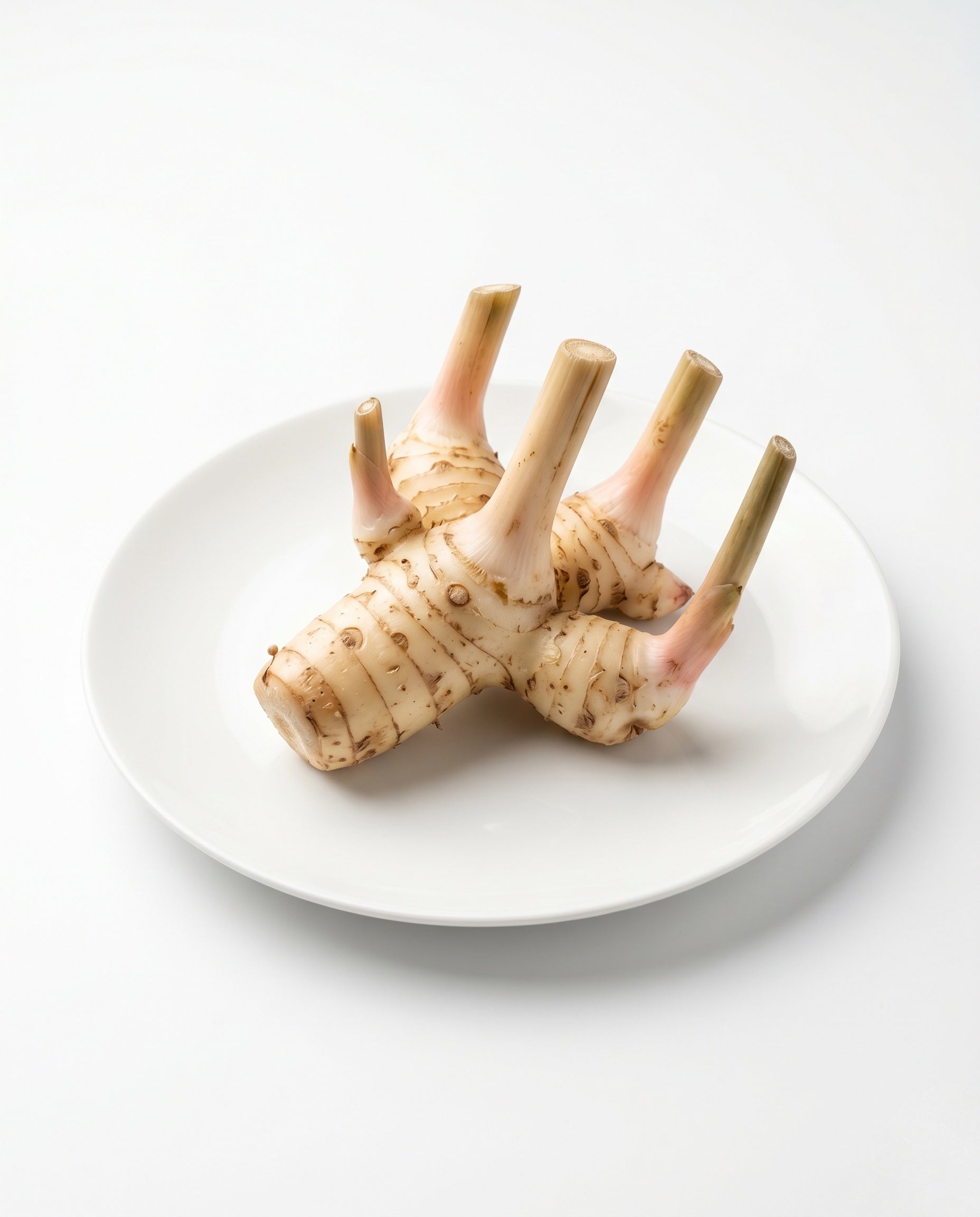 Galangal - Thai Ginger - (100g)